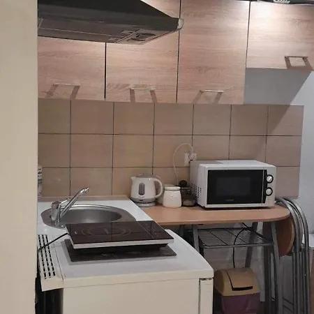 Sniezka Apartman Zakopane
