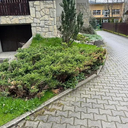 Sniezka *