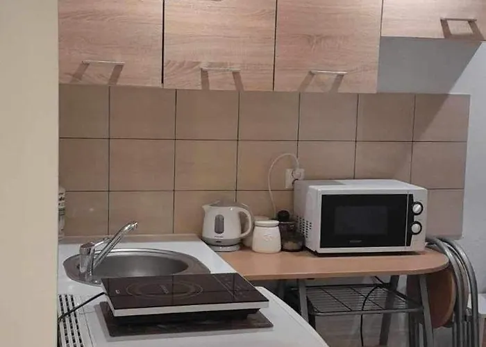 Sniezka Apartamento Zakopane